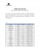 IFORME MERCADO DEL AGUA EN CHILE