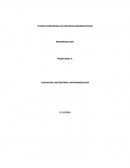 ACTIVIDAD El Bilingüismo en Colombia