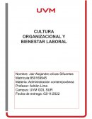 CULTURA ORGANIZACIONAL Y BIENESTAR LABORAL