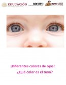 COLORES DE OJOS