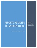 Trabajo de Museo de Antropologia
