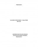 Actividad Presupuesto