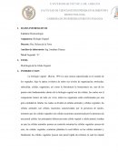 Morfología de la célula vegetal