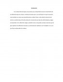 Principales características del Ajo variedad Rubí-1