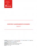 RECEPCIÓN Y ALMACENAMIENTO DE INSUMOS: CASO N°1