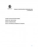 TRABAJO DE INVESTIGACIÓN DE PROGRAMAS PARA EL DESARROLLO