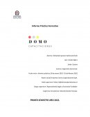 Practica profesional tesis Empresa: Domo Capacitaciones SpA