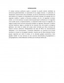 Caracteristicas basicas de la funcion simpatica y parasimpatica