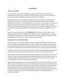 INFORME Diario el infomador RESUMEN