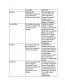 Tlatoani Concepto Definición