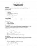 Guía de Practica 1, Estación 1 Narcolepsia