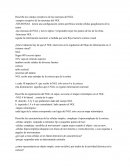 Núcleo geniculado lateral