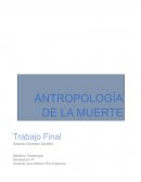 LA VISION DE LA MUERTE