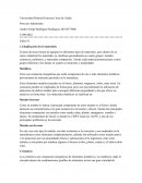 Clasificación de materiales