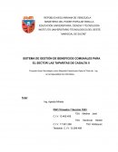 SISTEMA DE GESTIÓN DE BENEFICIOS COMUNALES PARA EL SECTOR LAS TAPARITAS DE CASALTA II