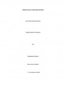 TRABAJO FINAL DE HABILIDADES MOTRICES