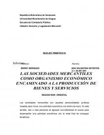 LAS SOCIEDADES MERCANTILES COMO ORGANISMO ECONÓMICO ENCAMINADO A LA PRODUCCIÓN DE BIENES Y SERVICIOS. Página 1