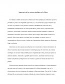 Importancia de las criaturas mitológicas en la Odisea