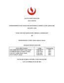 APLICATIVO DE SERVICIO DE LIMPIEZA A DOMICILIO