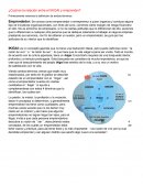 Relacion entre IKIGAI y emprendimiento