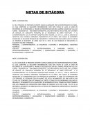 NOTAS DE BITÁCORA. OBRA