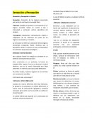 Sensación y Percepción: Lo básico