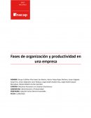 Fases de organización y productividad en una empresa