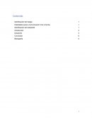 Importancia que tiene considerar e identificar los elementos fundamentales que conforman el proceso de la comunicación