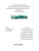 Morfofisiología Humana I Lípidos