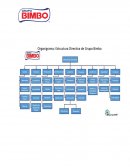 Organigrama: Estructura Directiva de Grupo Bimbo