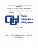 INTELIGENCIA ARTIFICIAL APLICADA EN LAS PYMES