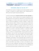 Actividad: ¿Qué son las AA. CC.?