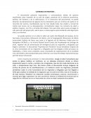 ESPERANZA SIN FRONTERAS