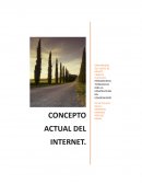 Concepto actual del internet