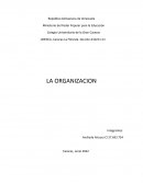 La organización administrativa