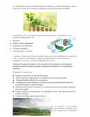 Economia verde
