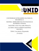 Ergonomia caso programador UNID