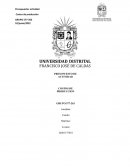 PRESUPUESTO DE ACTIVIDAD COSTOS DE PRODUCCION