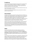 El modelo soja en Argentina