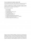 Proceso de Establecimiento de Objetivos y Metas de RSU