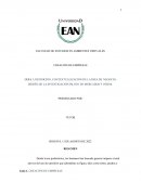 Creacion de empresa Guia 1