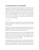 Eutanasia en animales