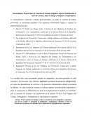 Modelo E Instructivo Genral de Contrato en Venezuela