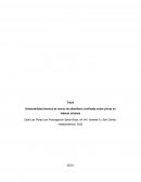 Vulnerabilidad sísmica de muros de albañilería confinada sobre pircas en laderas urbanas