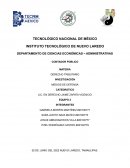MEDIOS DE DEFENSA
