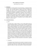 Tarea Académica 01: El Nasciturus