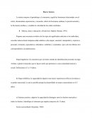 Música, ideas y educación