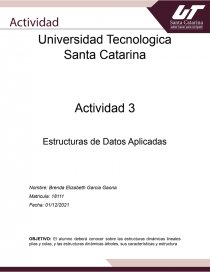 Actividad 3 Estructuras de Datos Aplicadas. Página 1