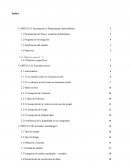 Cómo influye la ejecución de la violencia como acción grupal en la subjetividad de sus integrantes desde la visión de los psicólogos de la ciudad de Formosa?