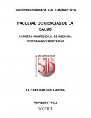 LA EHRLICHIOSIS CANINA